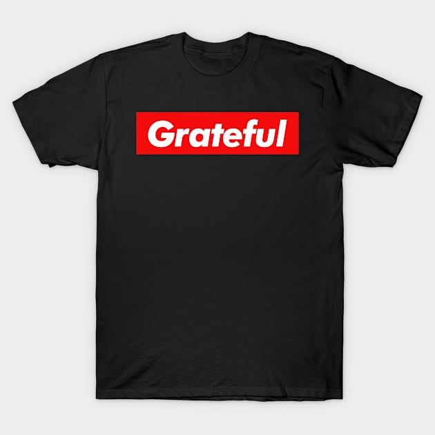 Grateful T-Shirt by monkeyflip